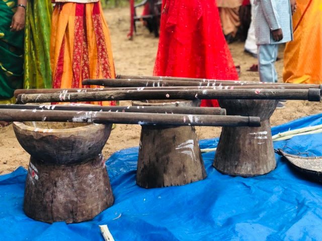 Pongal Vizha 2026