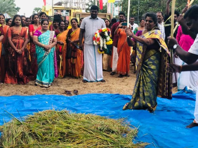 Pongal Vizha 2026