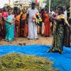 Pongal Vizha 2026